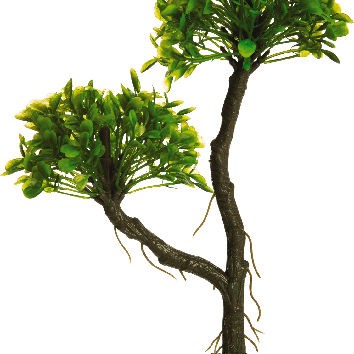 Underwater Tree PNG