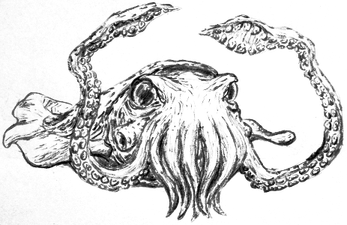 Kraken PNG