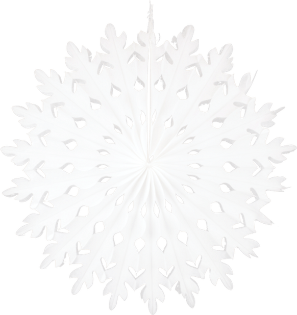 Paper Snowflake PNG