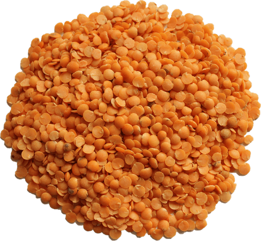 Lentil PNG