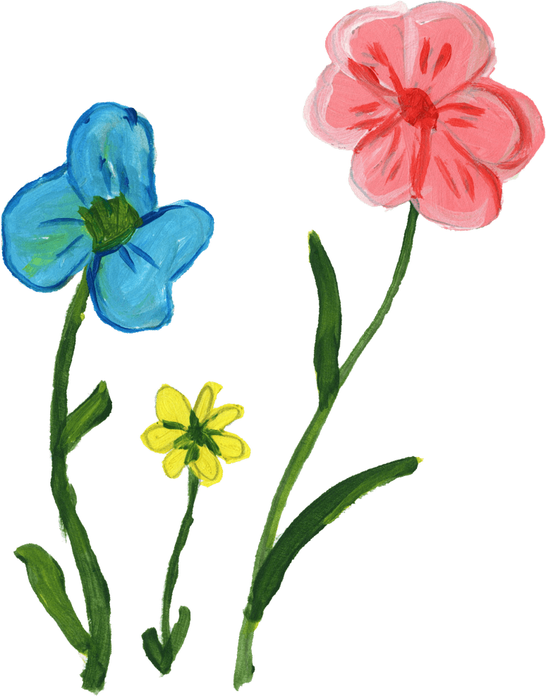 Painting Flower PNG