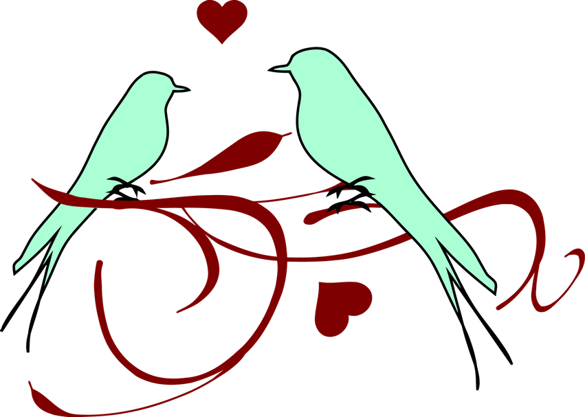 Lovebirds PNG
