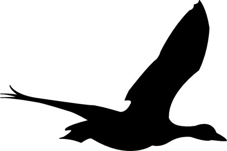 Bird Flying PNG
