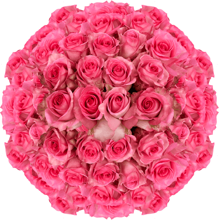 Artificial Rose PNG