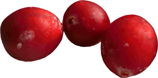 Cranberry PNG