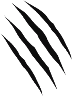 Claw Mark PNG