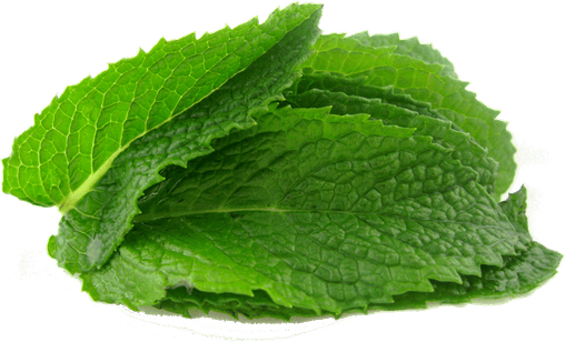 Mint PNG