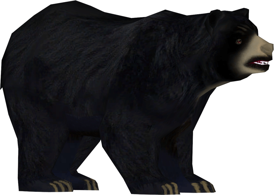 American Black Bear PNG
