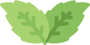Peppermint PNG
