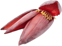 Raw Banana Flower PNG