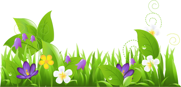 Spring PNG