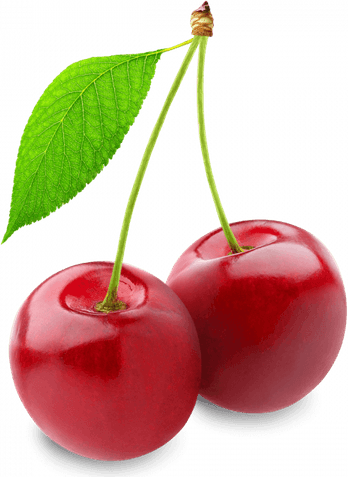 Tart Cherry PNG