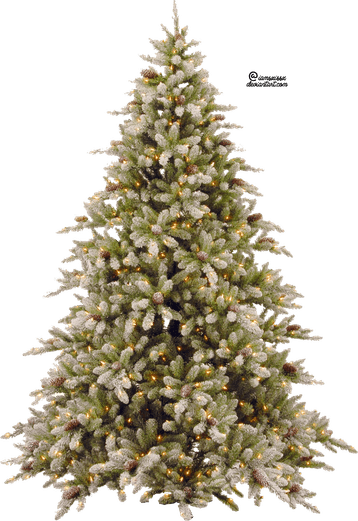 Rustic Christmas Tree PNG