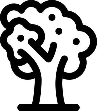 Walnut Tree PNG