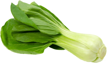 Bok Choy PNG