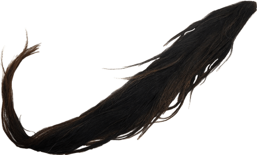 Tail PNG