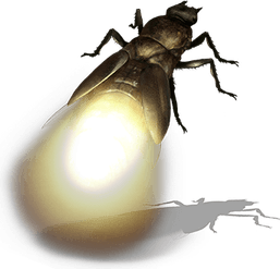 True Bug PNG