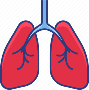 Pulmonologist PNG