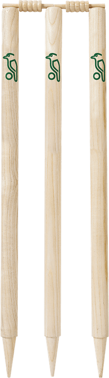 Wicket PNG