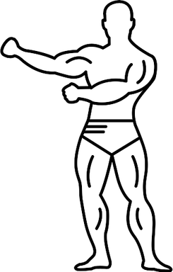 Muscles PNG