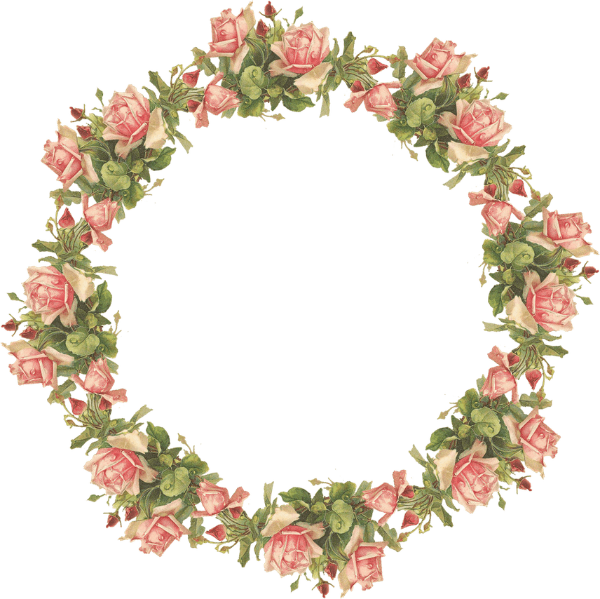 Frame Flower PNG