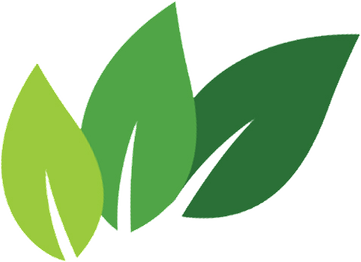100 Organic PNG