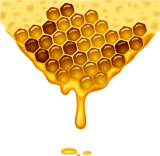 Honeycomb PNG