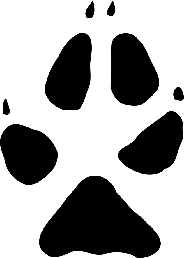 Paw Print PNG