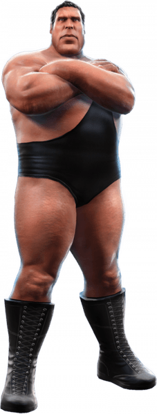 Andre The Giant PNG