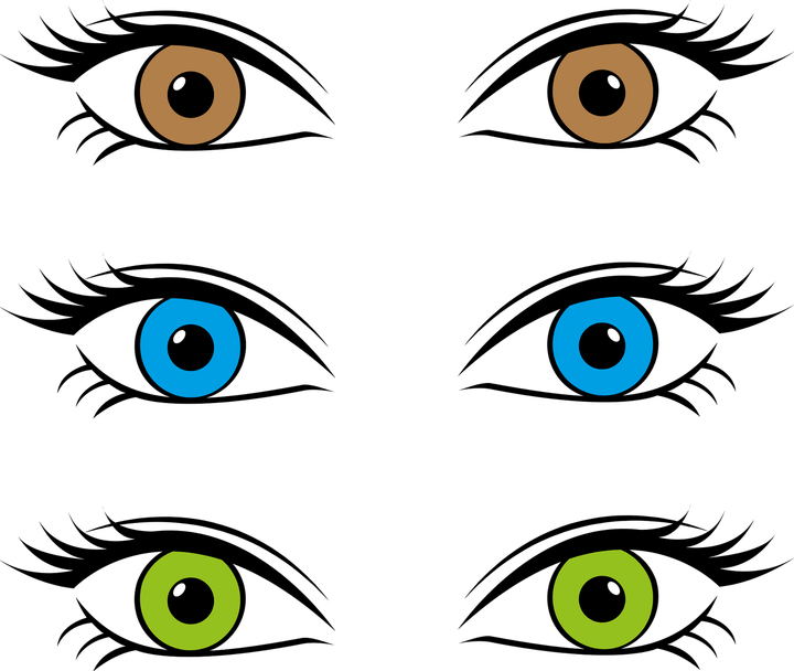 Brown Eyes PNG
