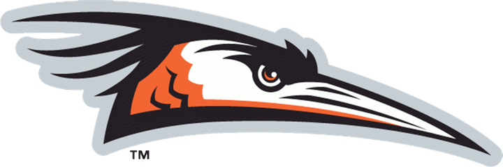 Delmarva Shorebirds PNG