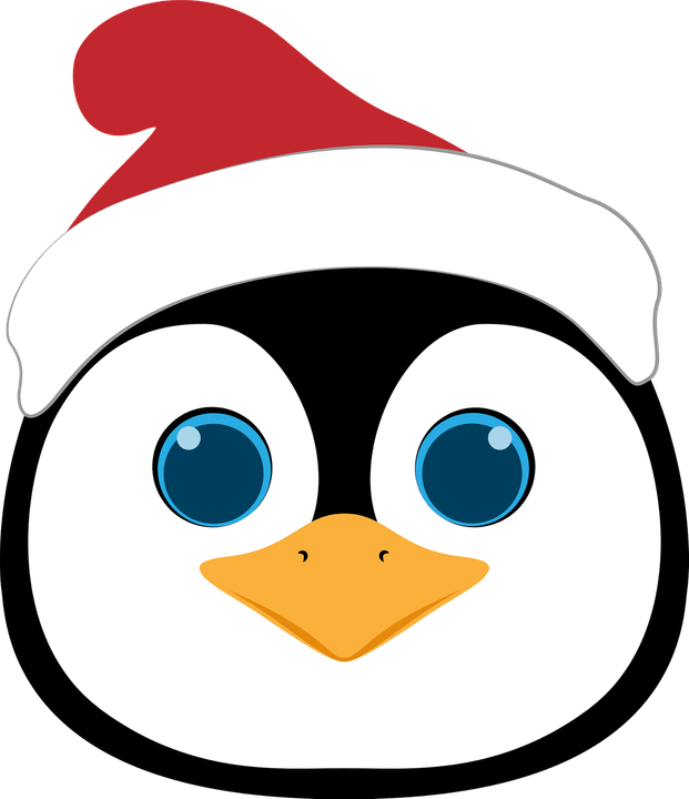 Penguin Christmas PNG