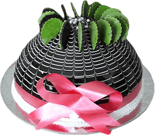 Fresh Cake PNG