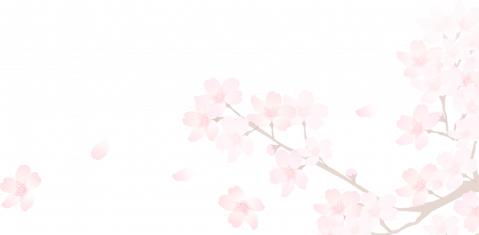 Petal PNG