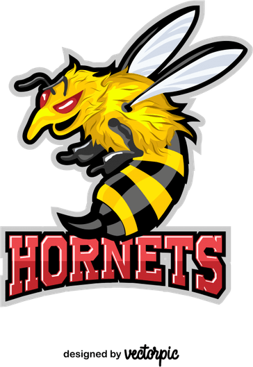 Hornets Logo PNG