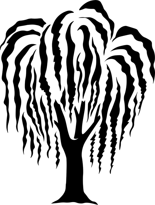 Black Willow Tree PNG