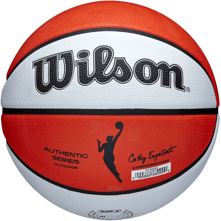 Wilson Evolution Basketball PNG