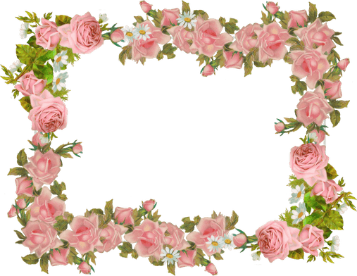 Rose Frame PNG