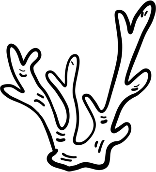 Coral Reef PNG