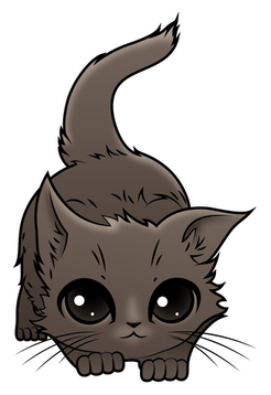 Grey Cat PNG