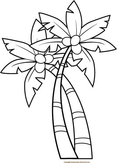 Palm Tree Black And White PNG
