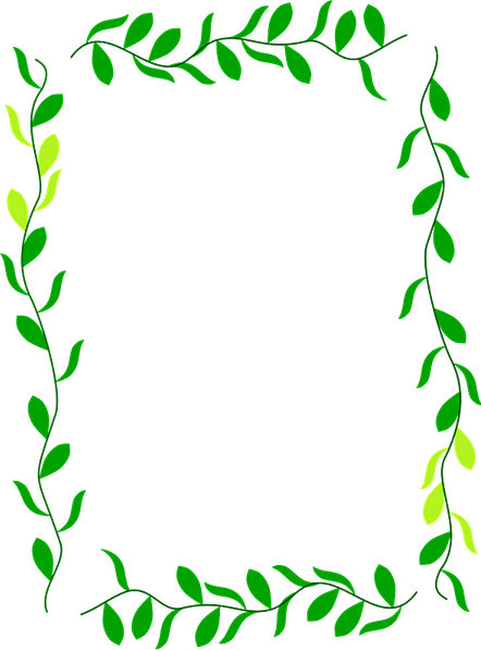 Plant Border PNG