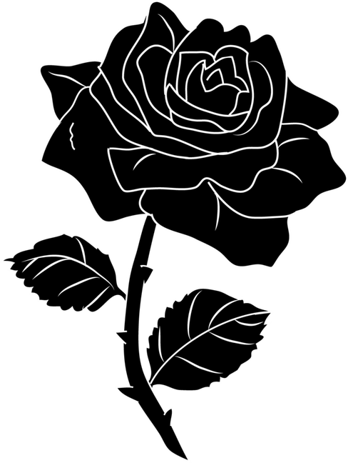 Black Flower PNG