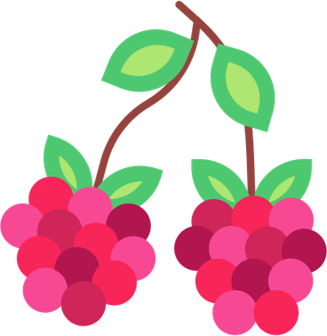 Pokemon Berries PNG