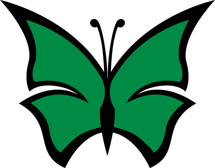 Green Butterfly PNG