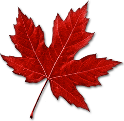 Canada Leaf PNG