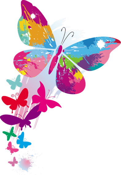 Colorful Butterfly PNG