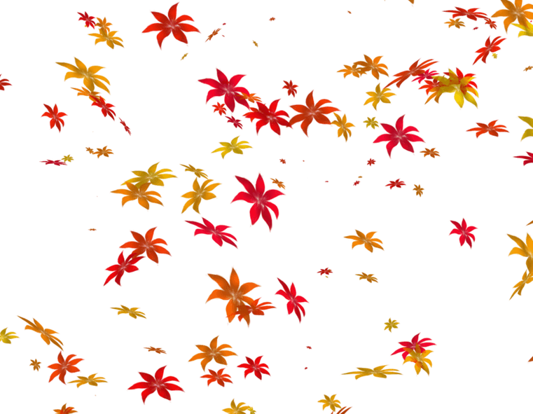 Flowers PNG
