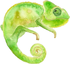 Chameleon PNG