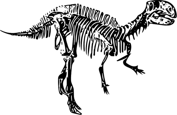 Fossils PNG